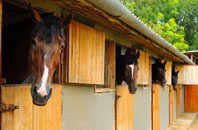 free Great Wishford stable construction quotes